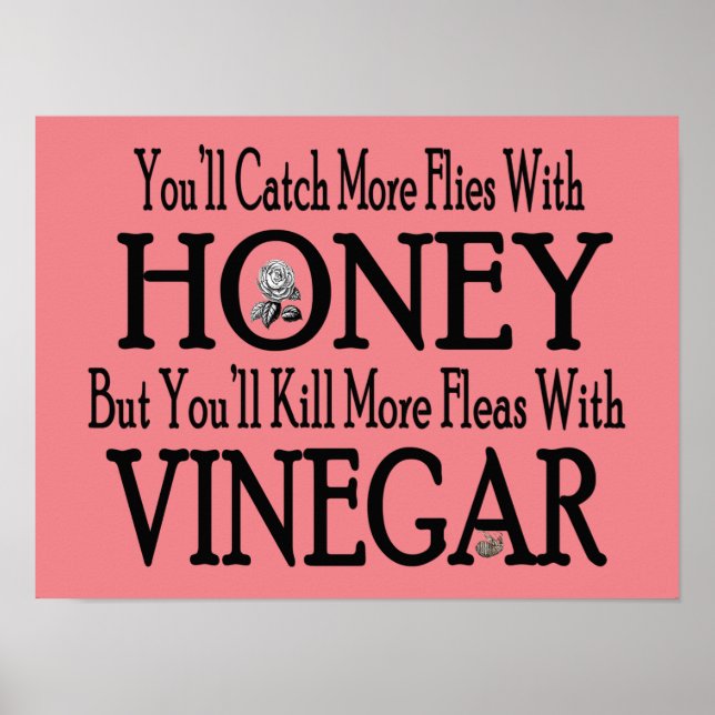 Poster de miel et de vinaigre (Devant)