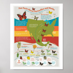 Poster de migration des papillons