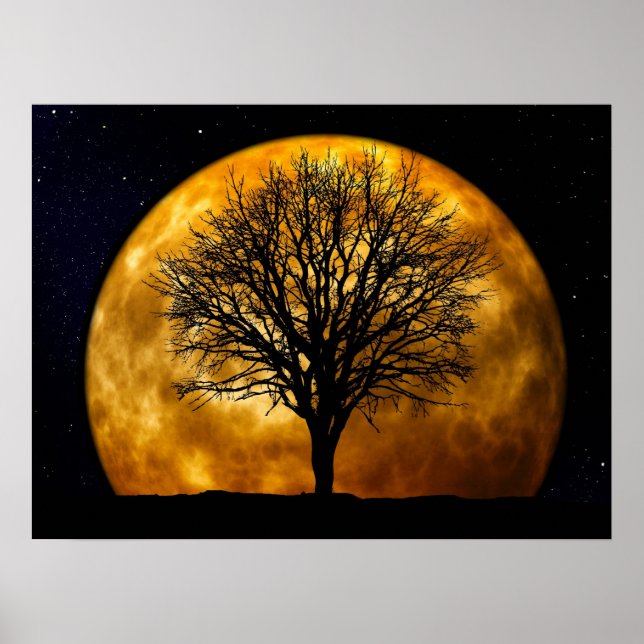 Poster de minuit Pleine lune (Devant)