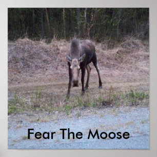 Poster de Moose
