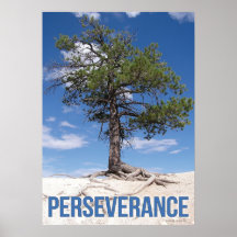 Poster de motivation de l'arbre de persévérance