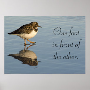 Poster de motivation des oiseaux de Sandpiper