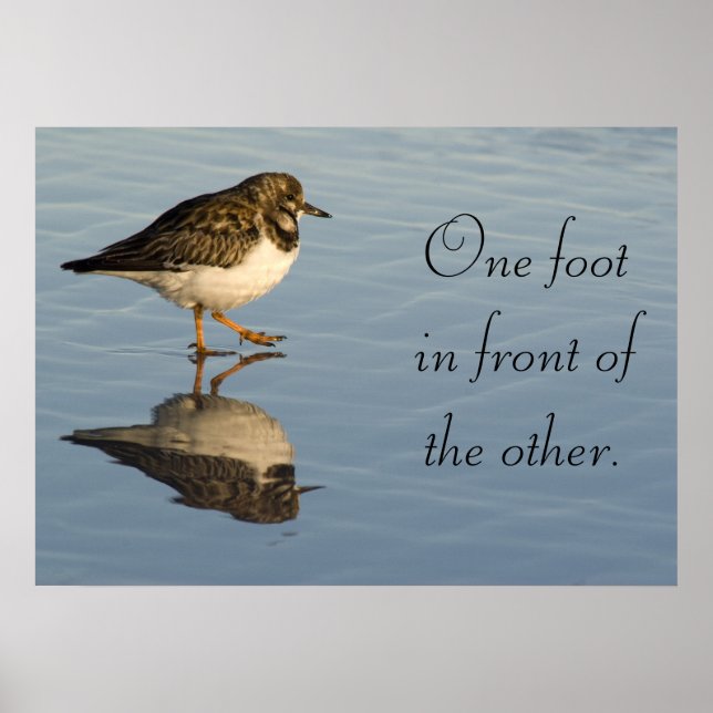 Poster de motivation des oiseaux de Sandpiper (Devant)
