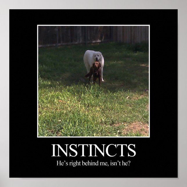 Poster de motivation, INSTINCTS (Devant)