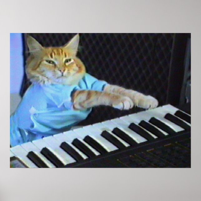 Poster de mur de chat de clavier ! (Devant)