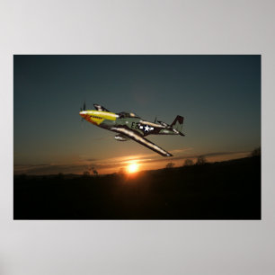 Poster de Mustang P51