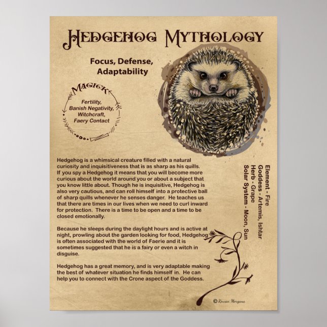 POSTER DE MYTHOLOGIE HEDGEHOG (Devant)