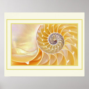 Poster de Nautilus