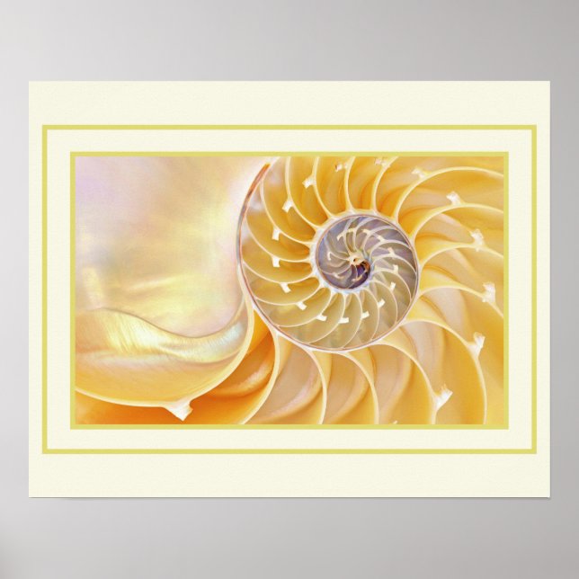 Poster de Nautilus (Devant)