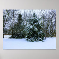 Poster de neige fraîche en hiver