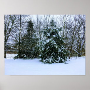 Poster de neige fraîche en hiver