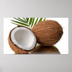 Poster de noix de coco