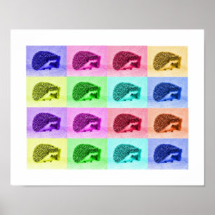Poster De nombreuses teintes de hérisson