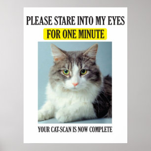 Poster de numérisation de chat