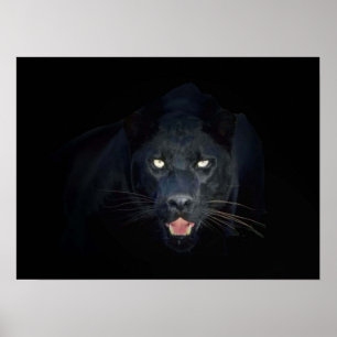 Poster de panthère noire