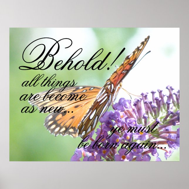Poster de papillon de nouveau né (Devant)