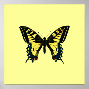Poster de papillon jaune