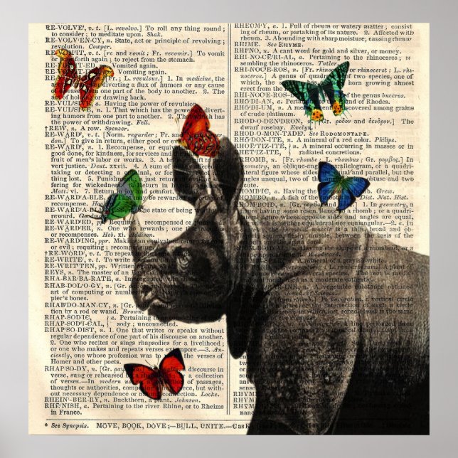 Poster de papillons Rhinoceros Art modifié (Devant)