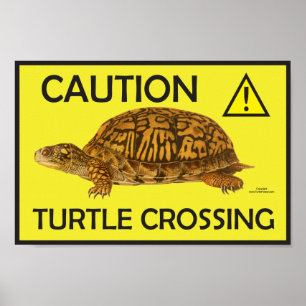 Poster de passage de tortues de prudence