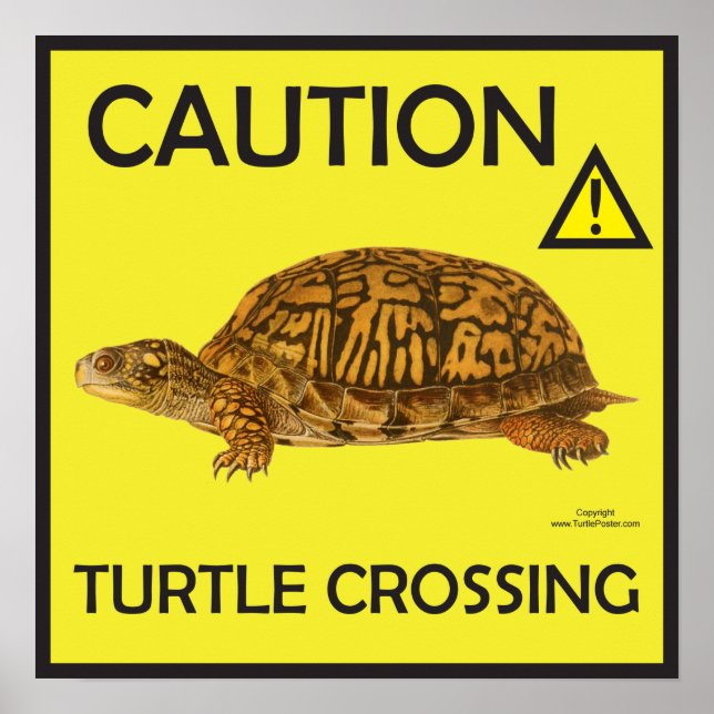 Poster de passage de tortues de prudence (Devant)