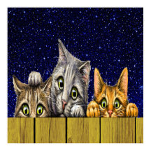 Poster de Peeking Cats