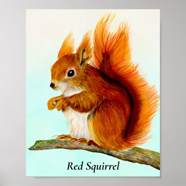 Poster de peinture à l'aquarelle d'écureuil rouge (Devant)