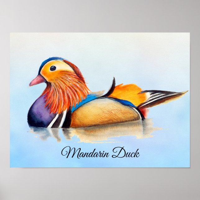 Poster de peinture à l'aquarelle Mandarin Duck (Devant)