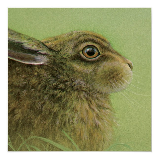 Poster de peinture d'art de la faune du lapin (Devant)