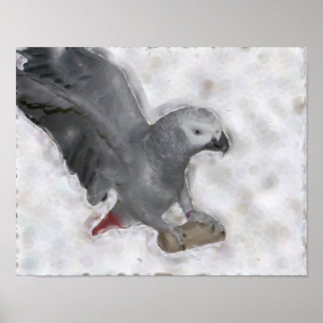 Poster de peinture de perroquet gris africain (Devant)