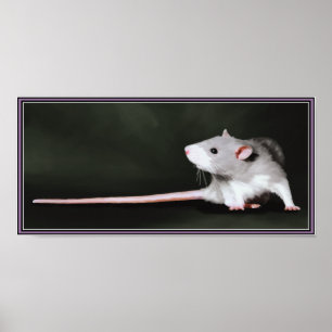 Poster de peinture de rat mou