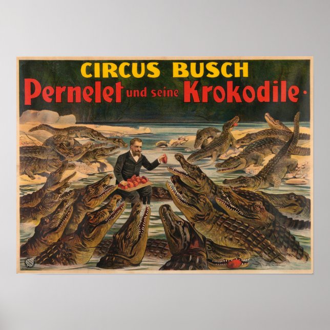 Poster de Pernelet et de ses crocodiles Buscus Cir (Devant)