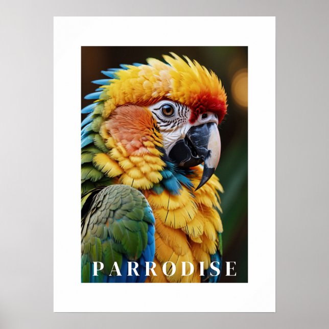 Poster de perroquets (Devant)