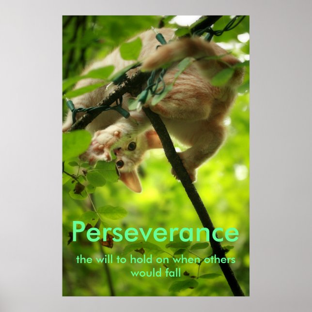 Poster de Perserverance (Devant)