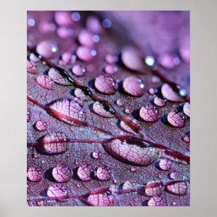 Poster de pluie violette