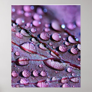 Poster de pluie violette