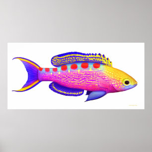 Poster de poisson Anthias Reef tacheté Jaune