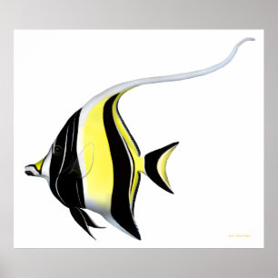 Poster de poisson de l'Idole maure du récif du Pac