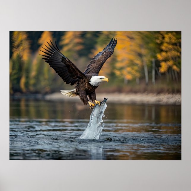 Poster de poisson de pêche à l'aigle (Devant)