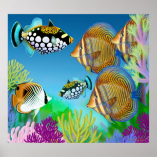 Poster de poisson de récif corallien indo-pacifiqu
