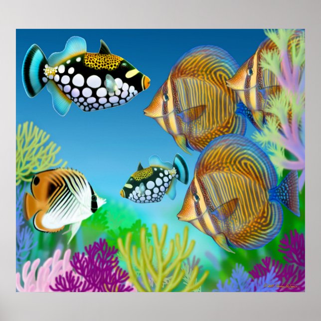 Poster de poisson de récif corallien indo-pacifiqu (Devant)