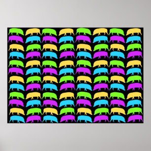 Poster de porcs multicolores