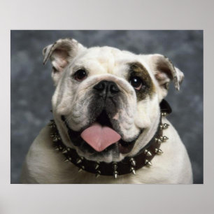 Poster de portrait de Chien Chien Chien Chien Chie