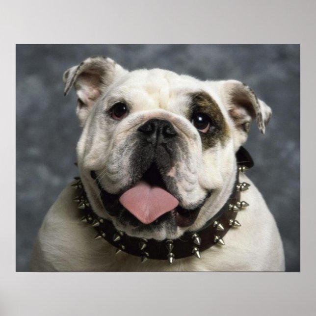 Poster de portrait de Chien Chien Chien Chien Chie (Devant)