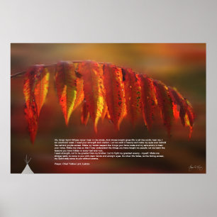 Poster de prière Lakota