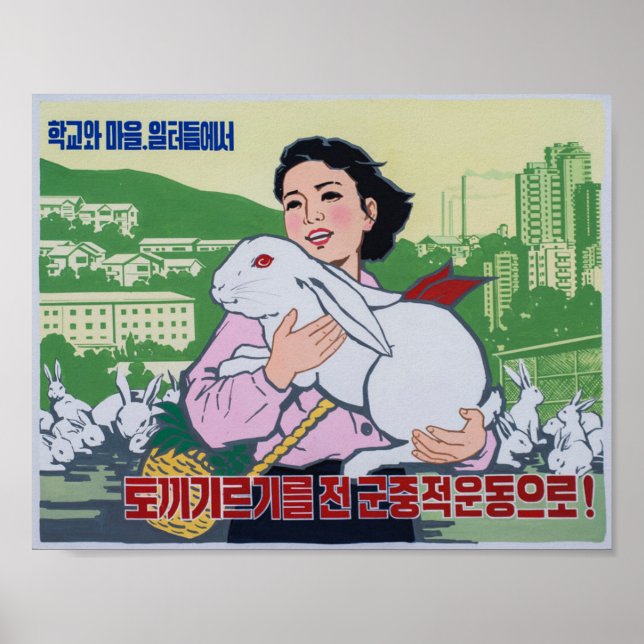 Poster de propagande nord-coréenne - Lapin aux yeu (Devant)