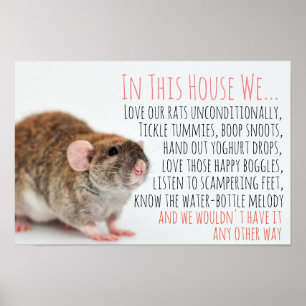 Poster de Rat Lover