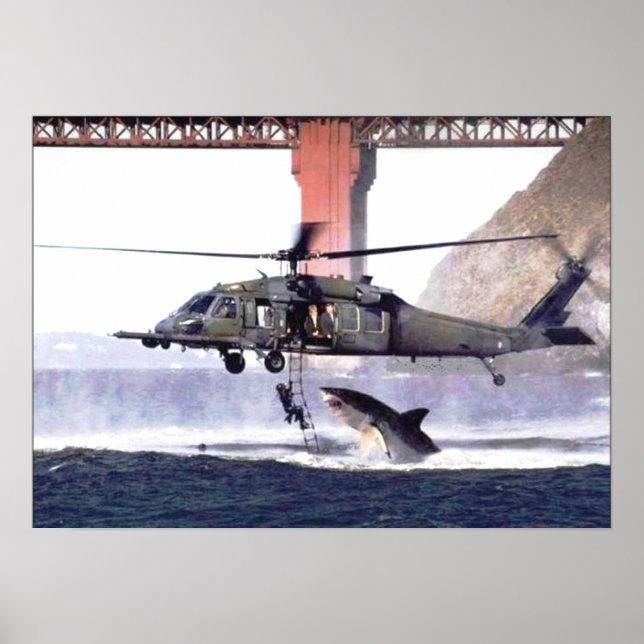 Poster de requin sauvage (Devant)