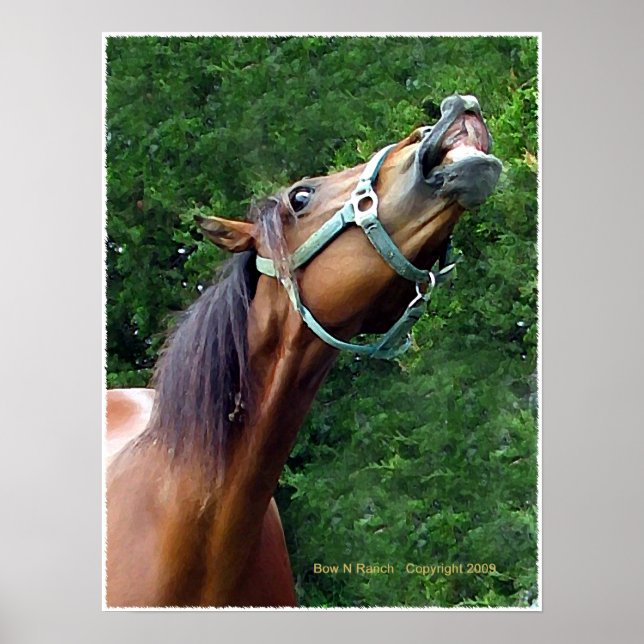 Poster de rires de cheval (Devant)