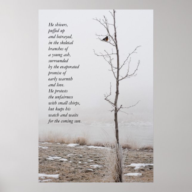 Poster de Robin Nature de février avec poème (Devant)