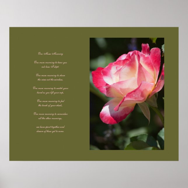Poster de Rose et d'amour (Devant)